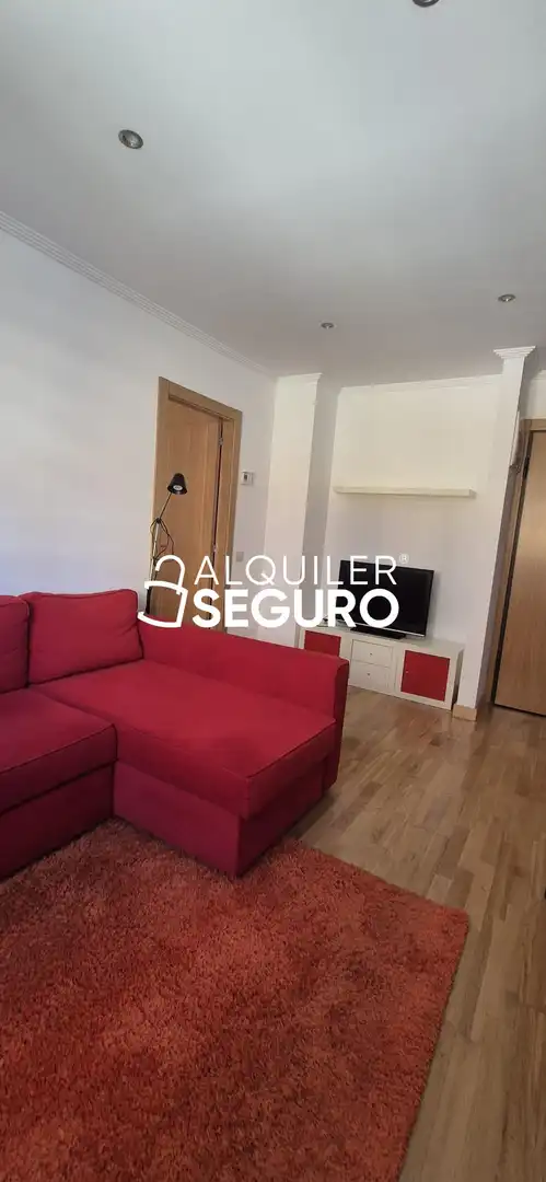 Sala d'estar de Pis de lloguer en Oviedo  amb Calefacció i Moblat