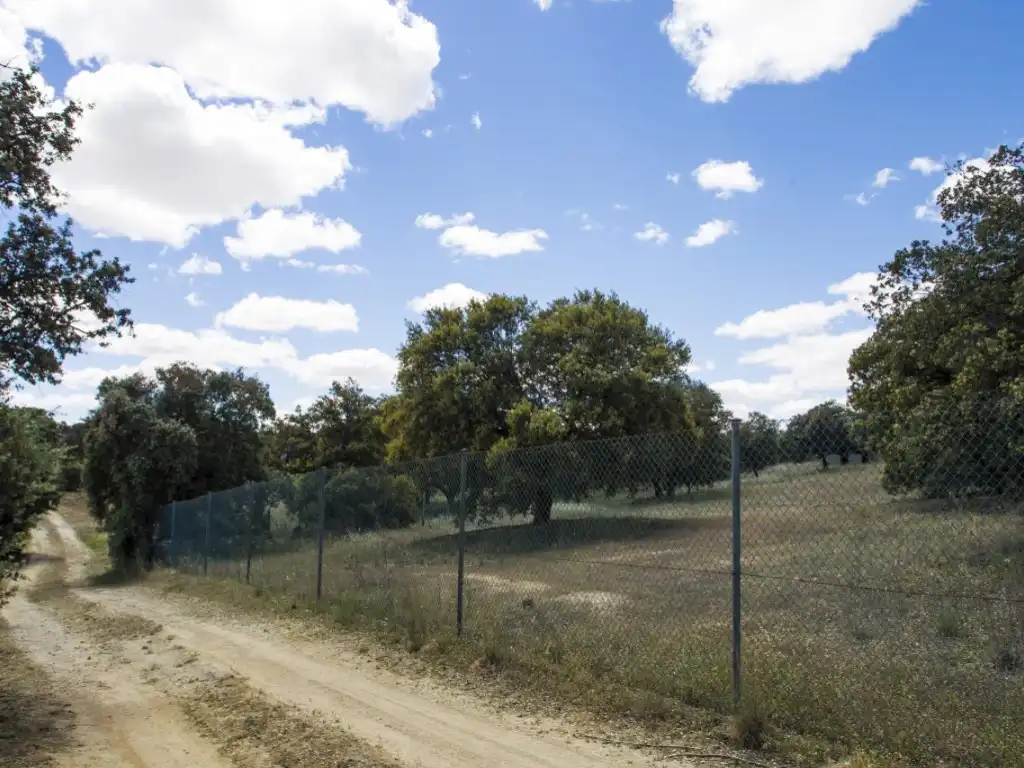 Finca rústica en venda en Navalcarnero