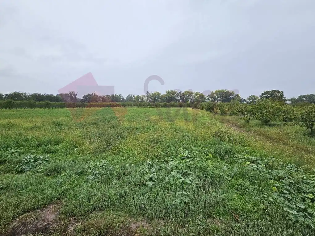 Terreno rustico in vendita a N-232, imagen 2