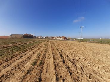Terrain rustique à vendre à Cazurra