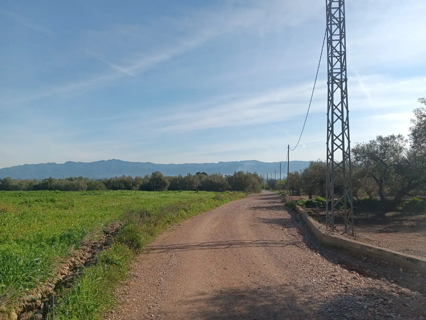 Lands and plots for sale in Roquetes, imagen 20