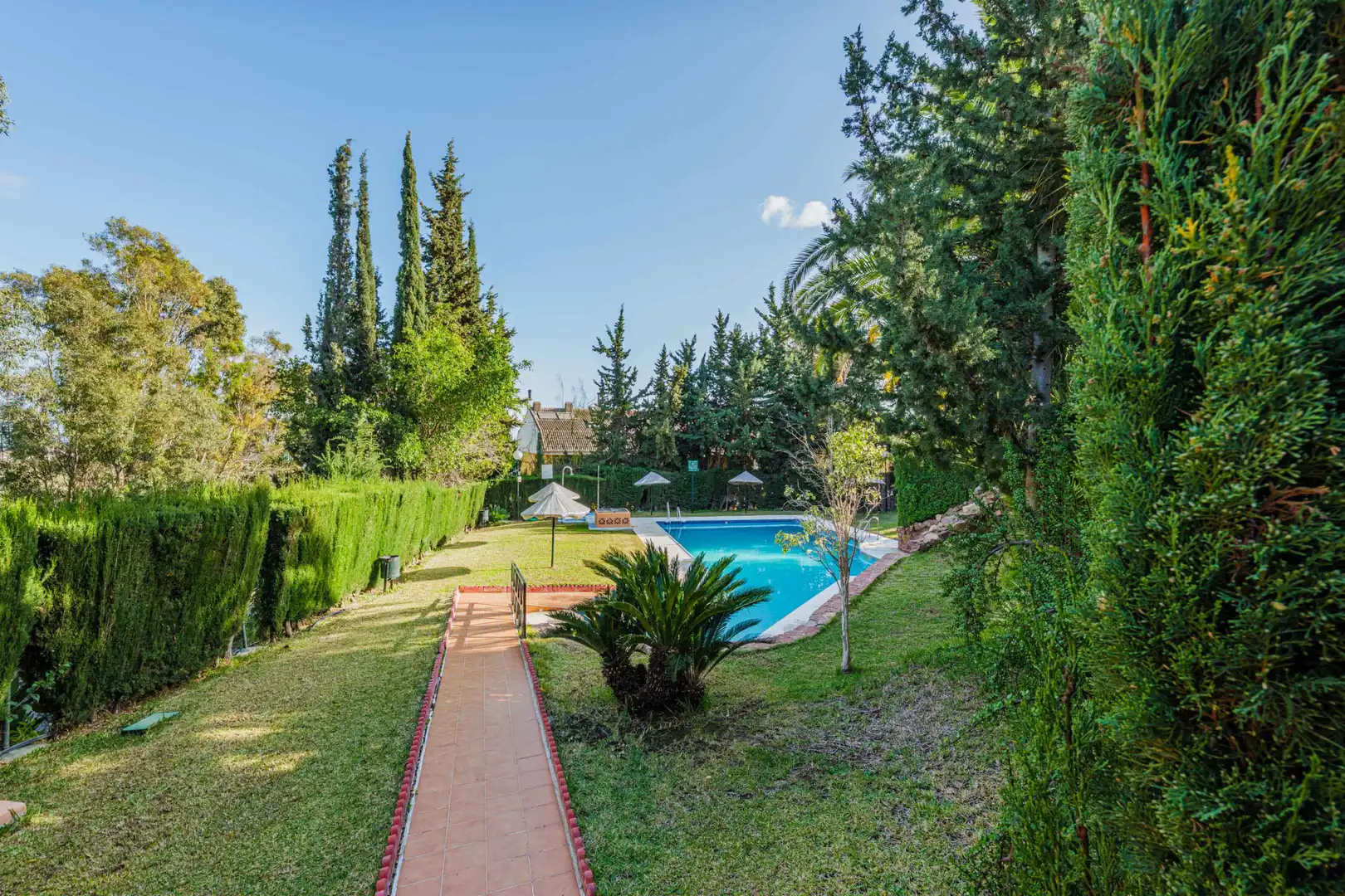 Attique avec piscine à vendre à Este, imagen 37