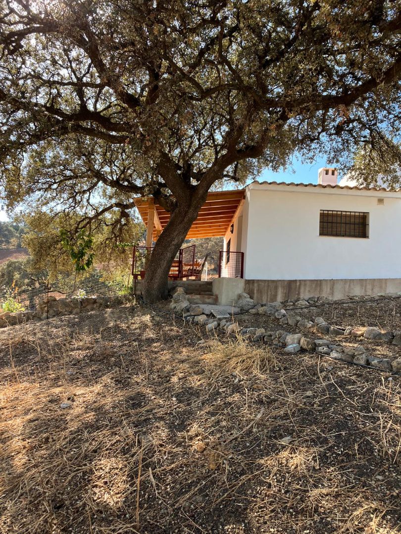 Vista exterior de Casa o xalet en venda en La Puebla de Cazalla amb Jardí privat i Alarma