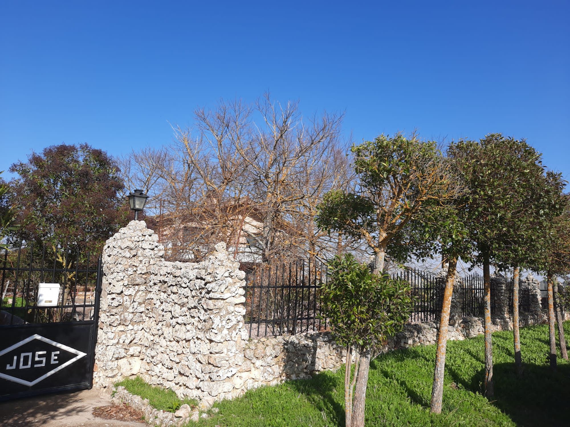 Finca rústica en venda en Palencia Capital amb Jardí privat, Terrassa i Traster