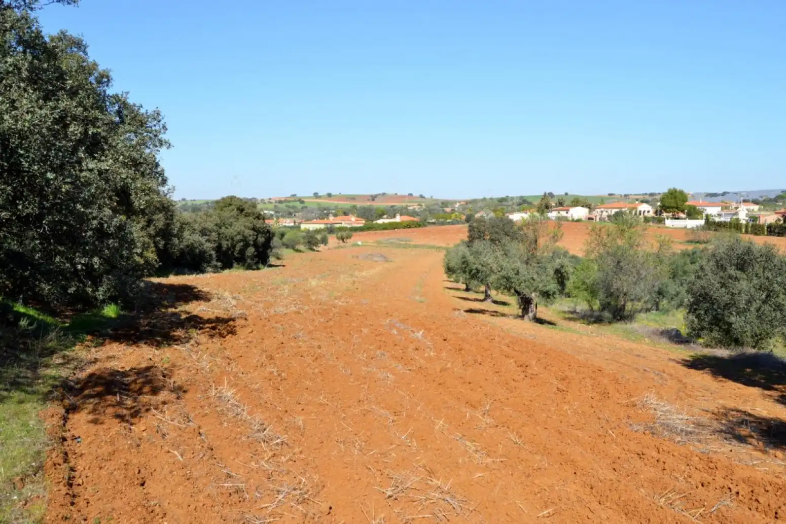 Terreni e lotti in vendita a Don Álvaro, imagen 2