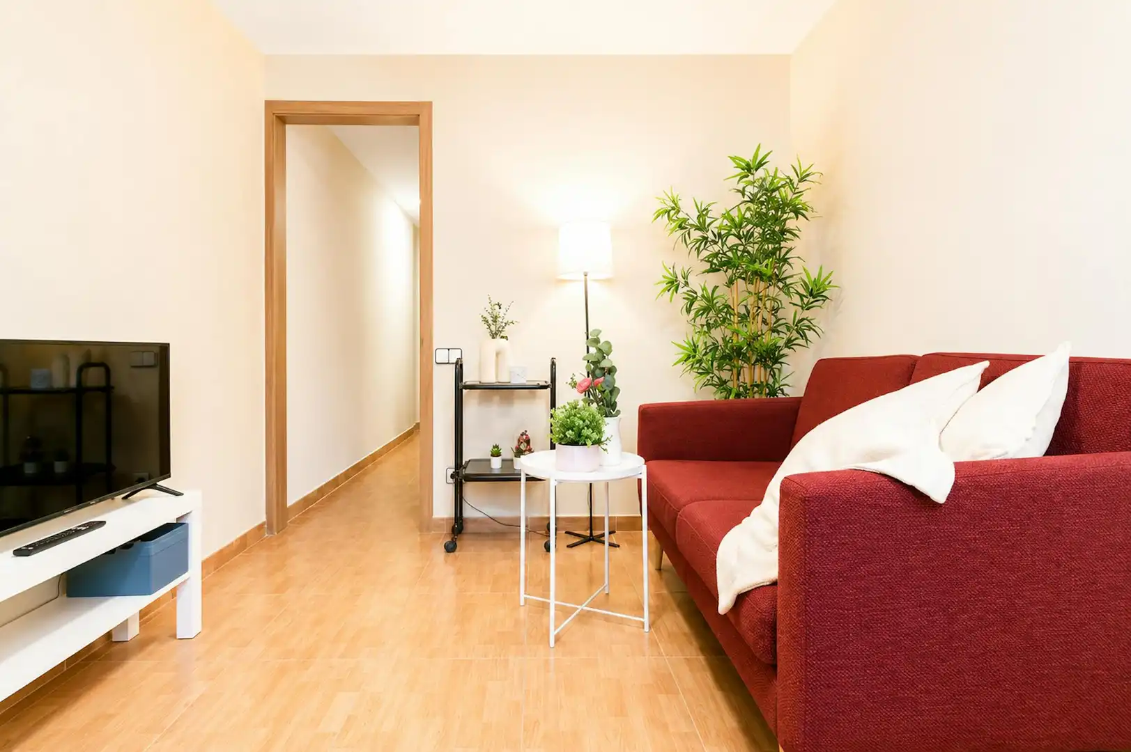 Sala d'estar de Pis de lloguer en L'Hospitalet de Llobregat amb Moblat, Rentadora i TV