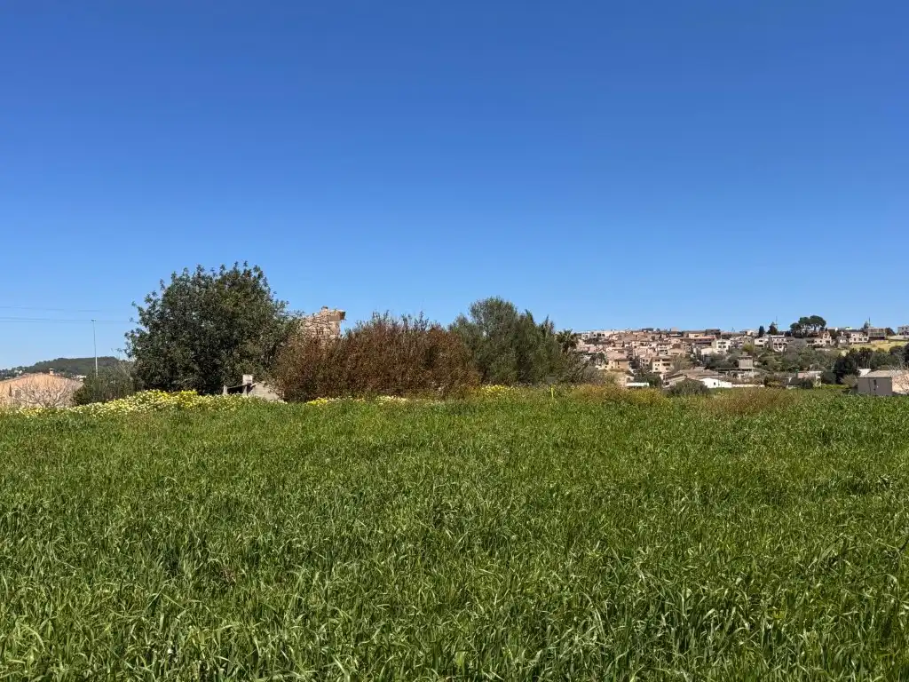 Terreno residenziale in vendita a Montuïri, imagen 4