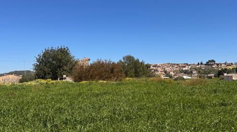 Parcela rústica con vistas abiertas cerca de Montuïri, immagine 4