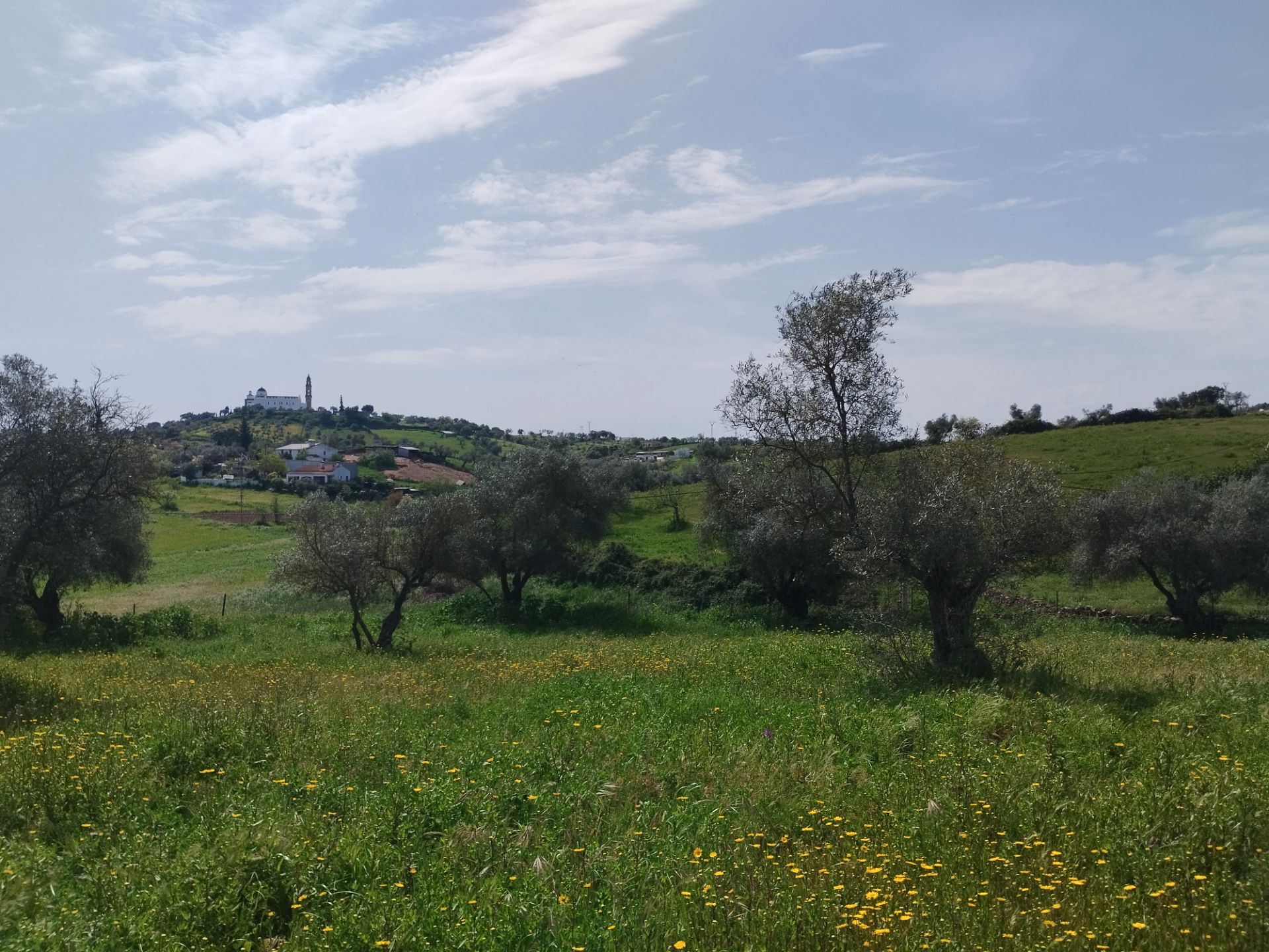 Land for sale in Oliva de la Frontera