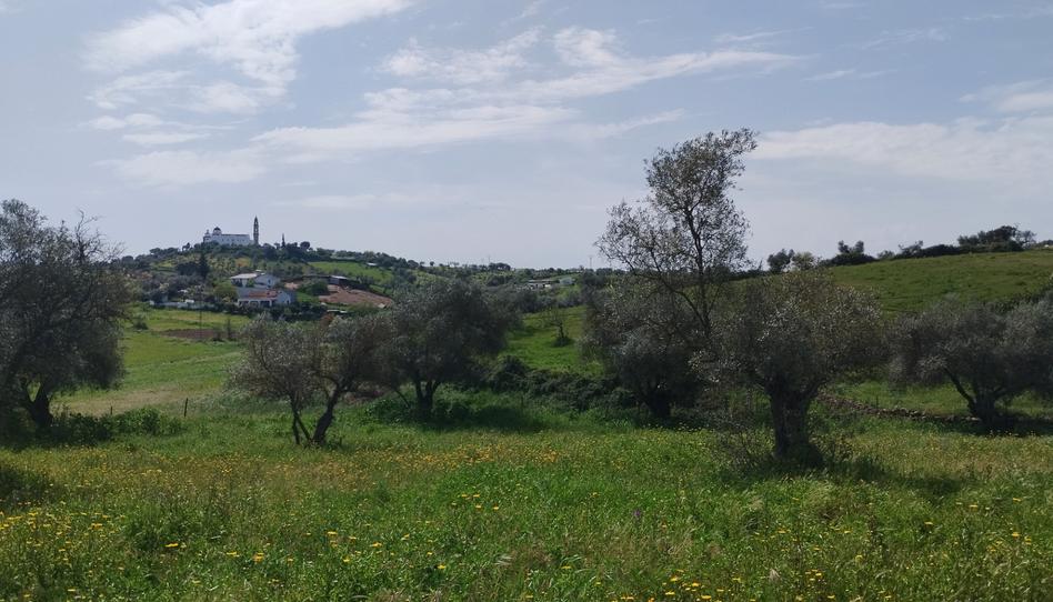 Photo 1 of Land for sale in Oliva de la Frontera, Badajoz