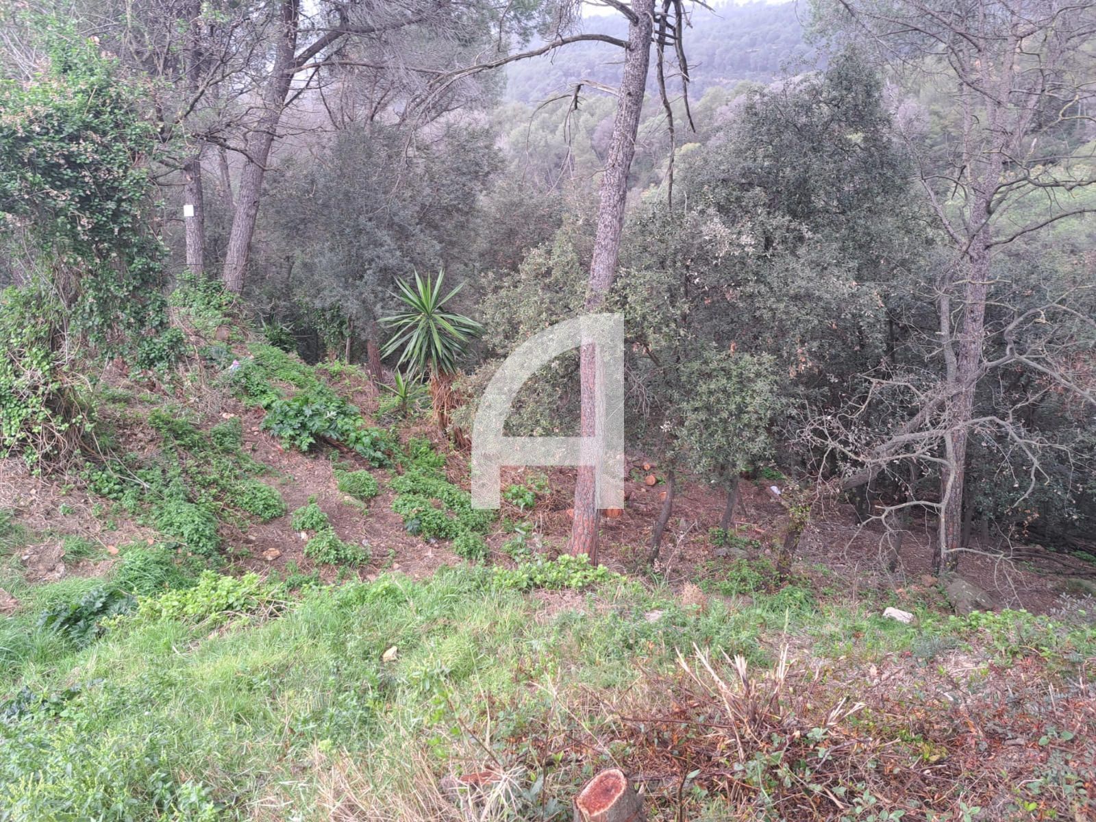 Grundstücke zum verkauf in Canigo, Molins de Rei
