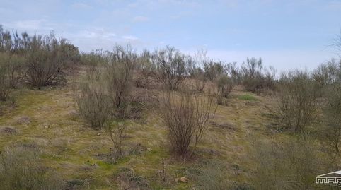 Photo 3 of Land for sale in Partido del Barrancón, Pol.61, Par.92, 61, Jauja, Lucena