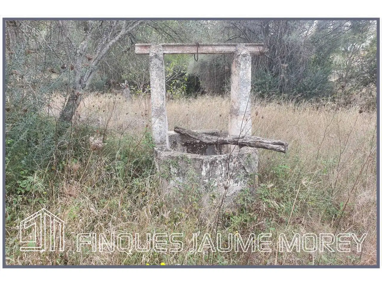 Finca rústica en venda en Selva amb Jardí privat