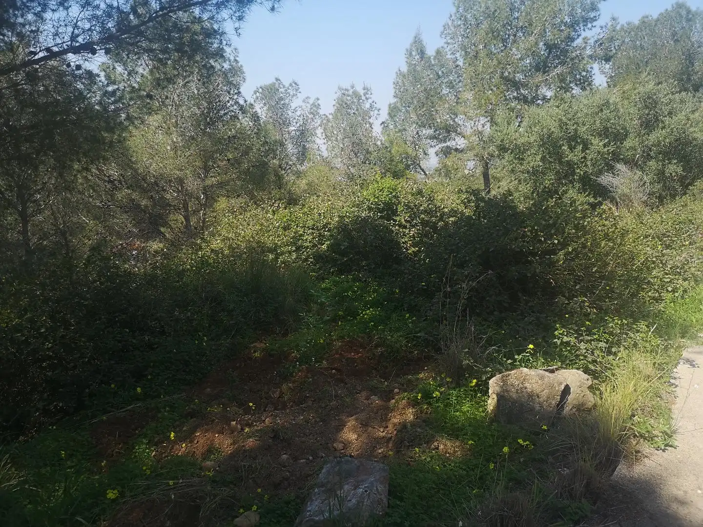 Terreno residencial en venta en Urbanitzacions i Pedanies Nord, imagen 6