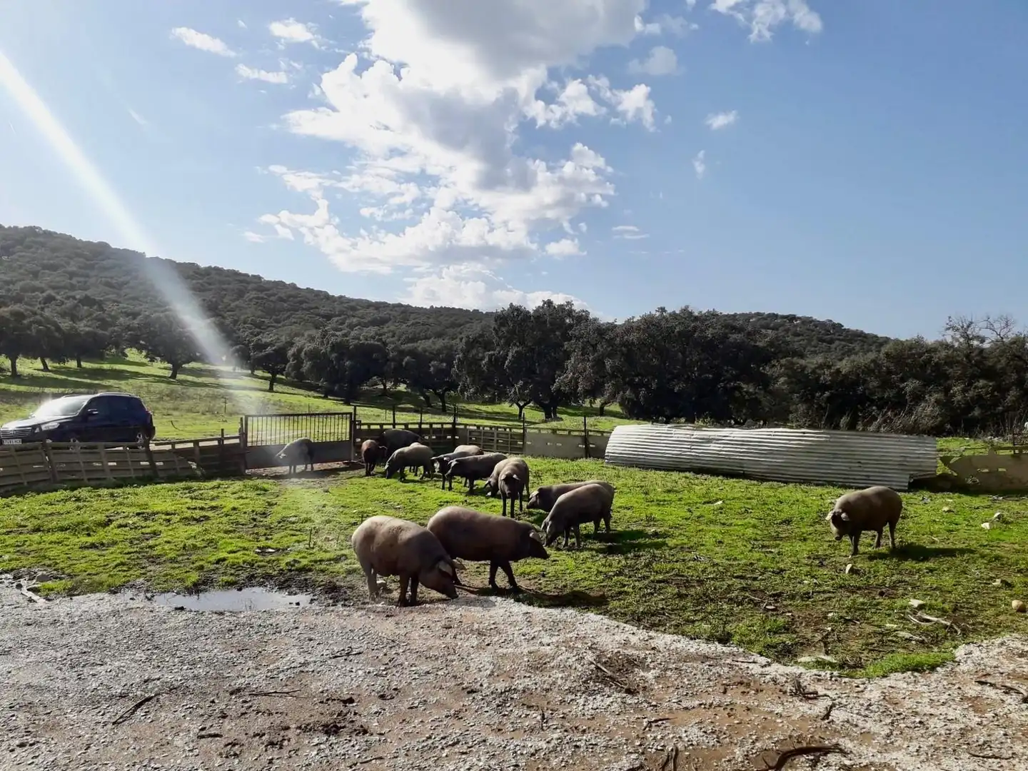 Rural land for sale in Fuente Obejuna, imagen 6