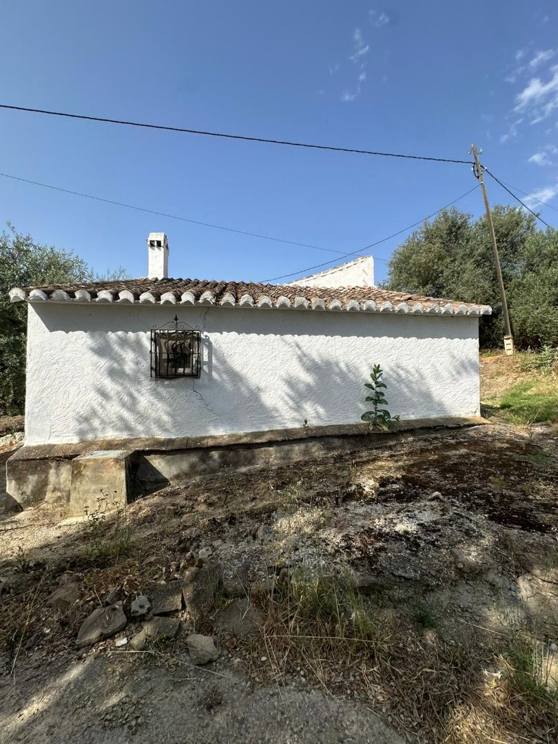 Exterior view of Country house for sale in Cútar  with Private garden, Terrace and Storage room