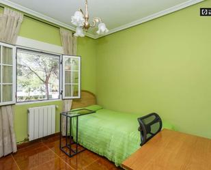 Flat to share in Pueblo Nuevo