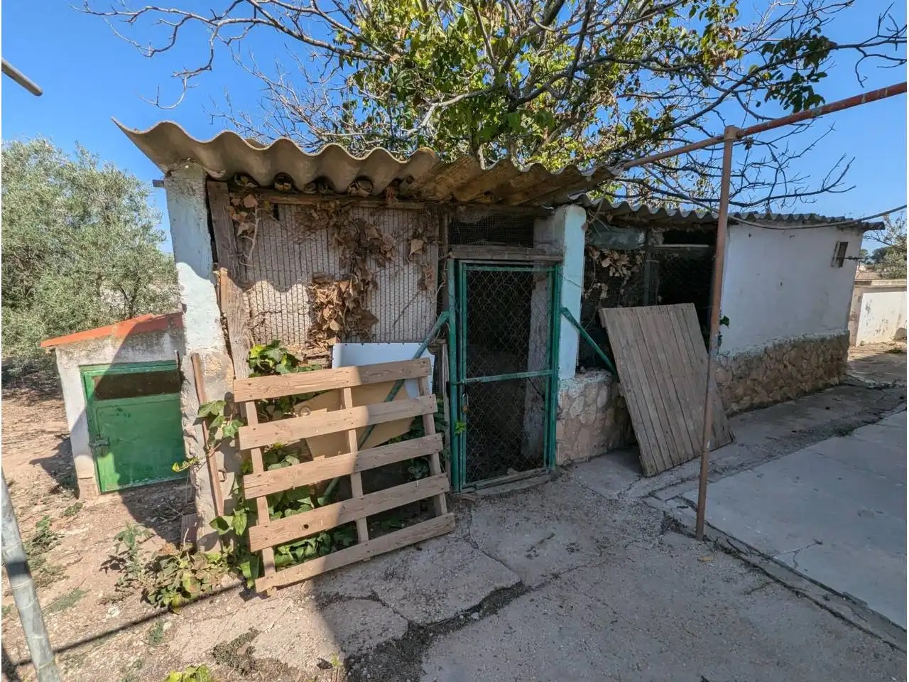 Vista exterior de Finca rústica en venta en Caudete con Jardín privado y Piscina