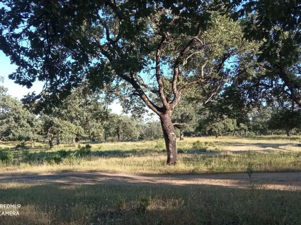 Terreno en venta en Robledillo de la Vera