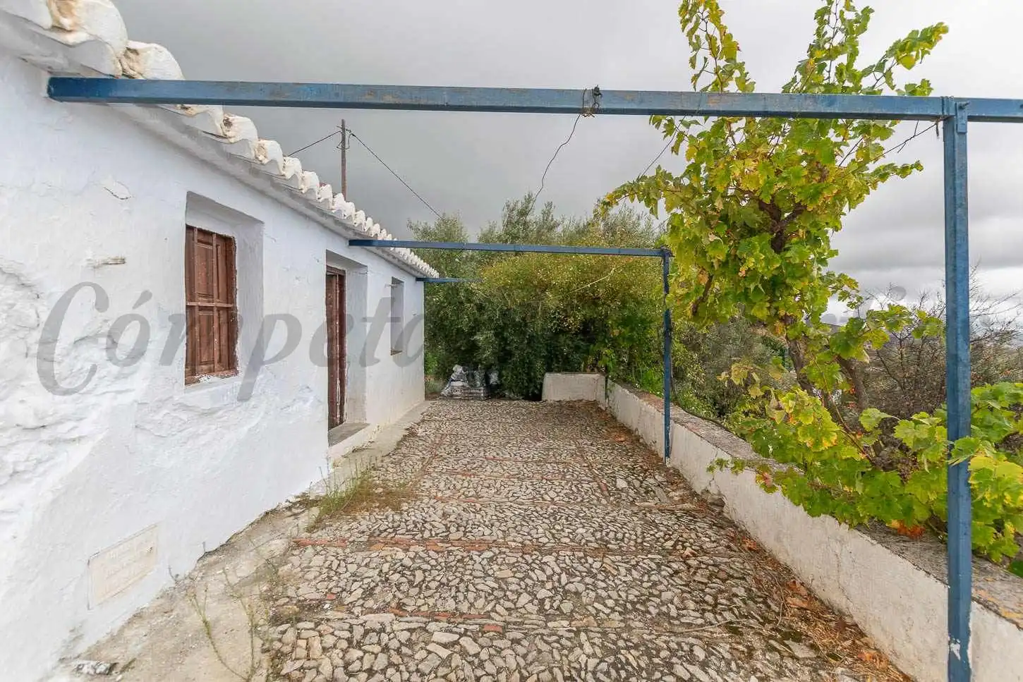 Casa amb jardí en venda a Canillas de Aceituno, imagen 5
