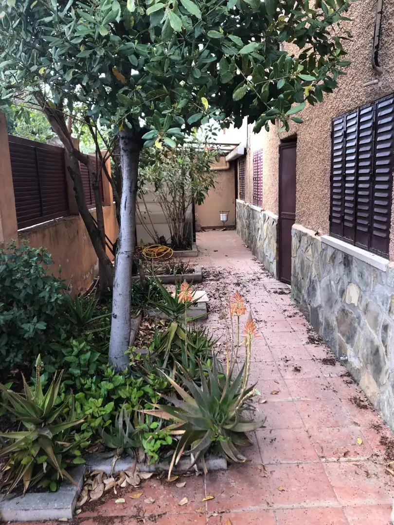 Jardí de Casa o xalet en venda en Madrid amb Calefacció i Terrassa