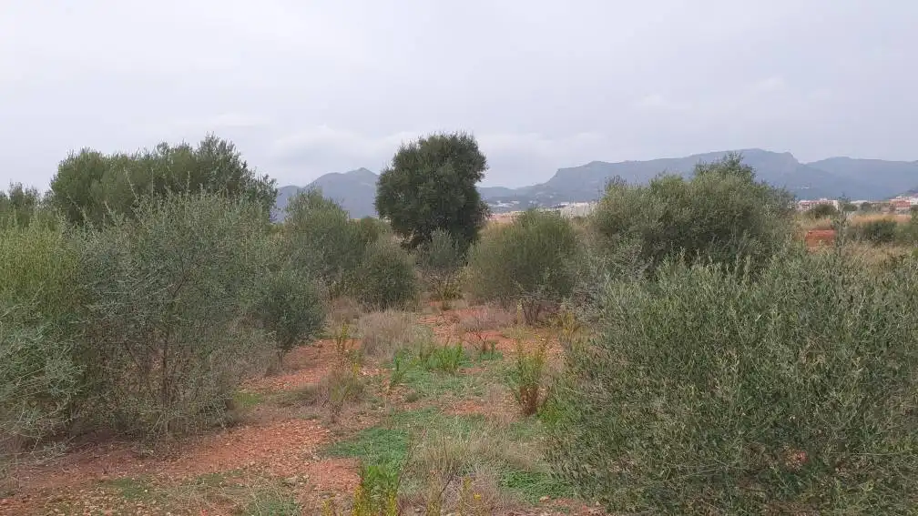 Terreny residencial en venda a Partida Fosaret, imagen 5
