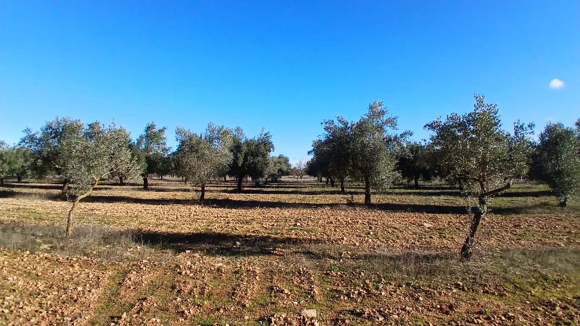 Terreno rustico in vendita a N/A, imagen 2