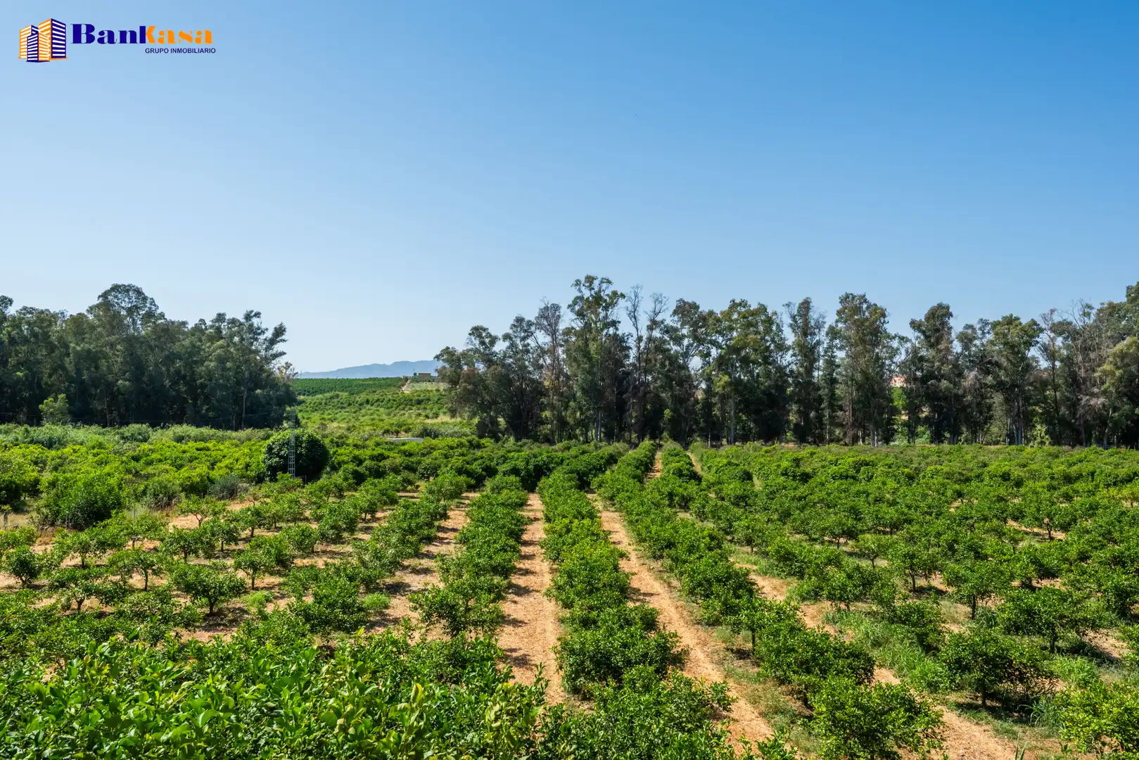 Terreno en venta en Pizarra