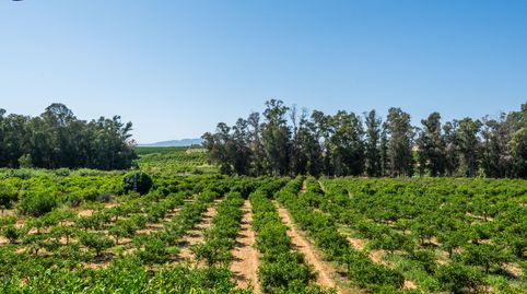 Photo 5 of Land for sale in Pizarra, Málaga