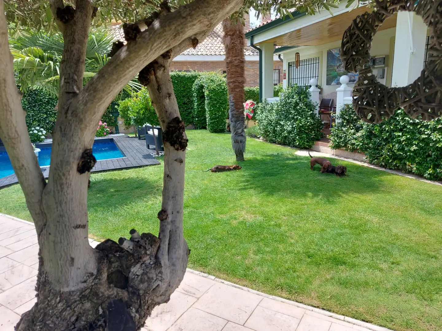 Jardín de Casa o chalet en venta en Villalbilla con Jardín privado, Terraza y Trastero