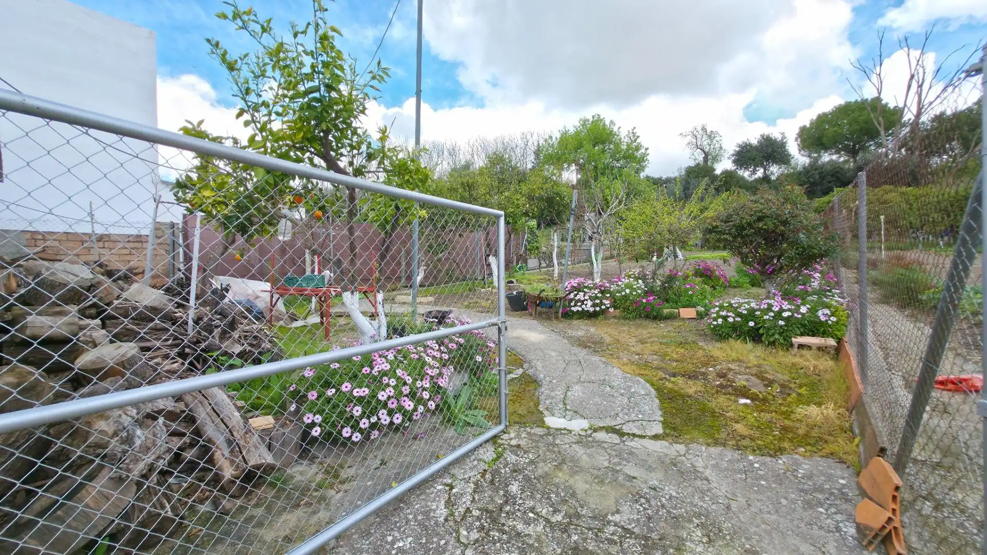 Garden of Houses for sale in Arcos de la Frontera  with Private garden and Storage room