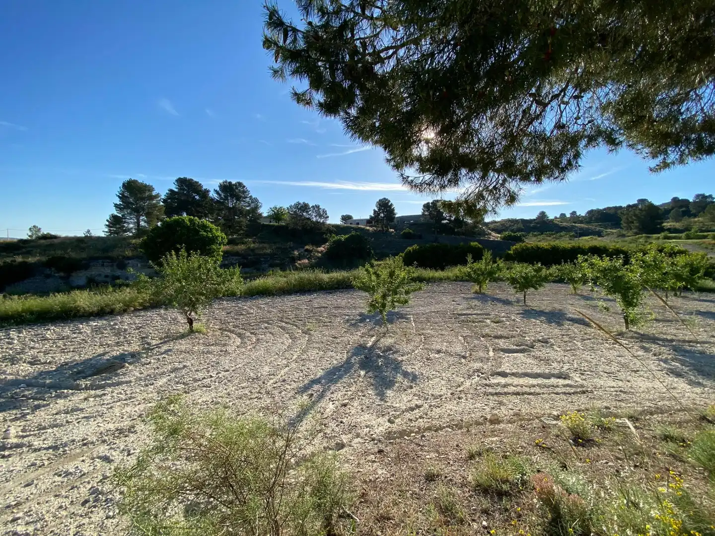 Villa à vendre à Moratalla, imagen 21