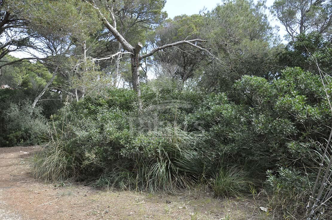 Residencial en venda en Ciutadella de Menorca