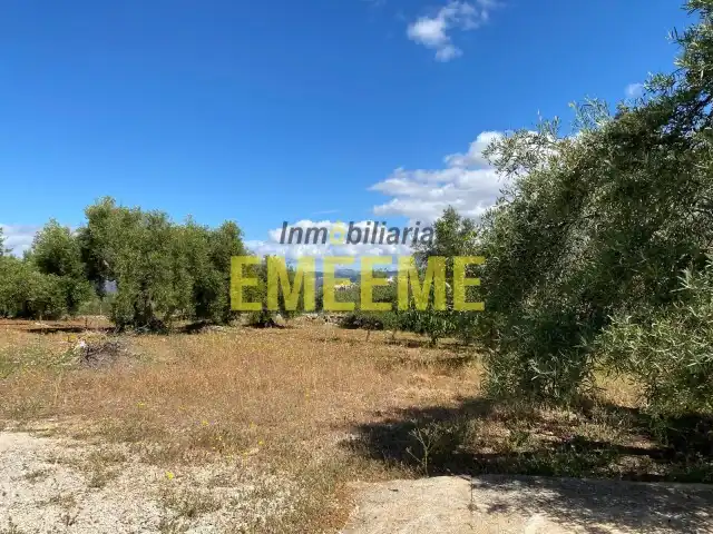 Finca rústica en venta en Centro