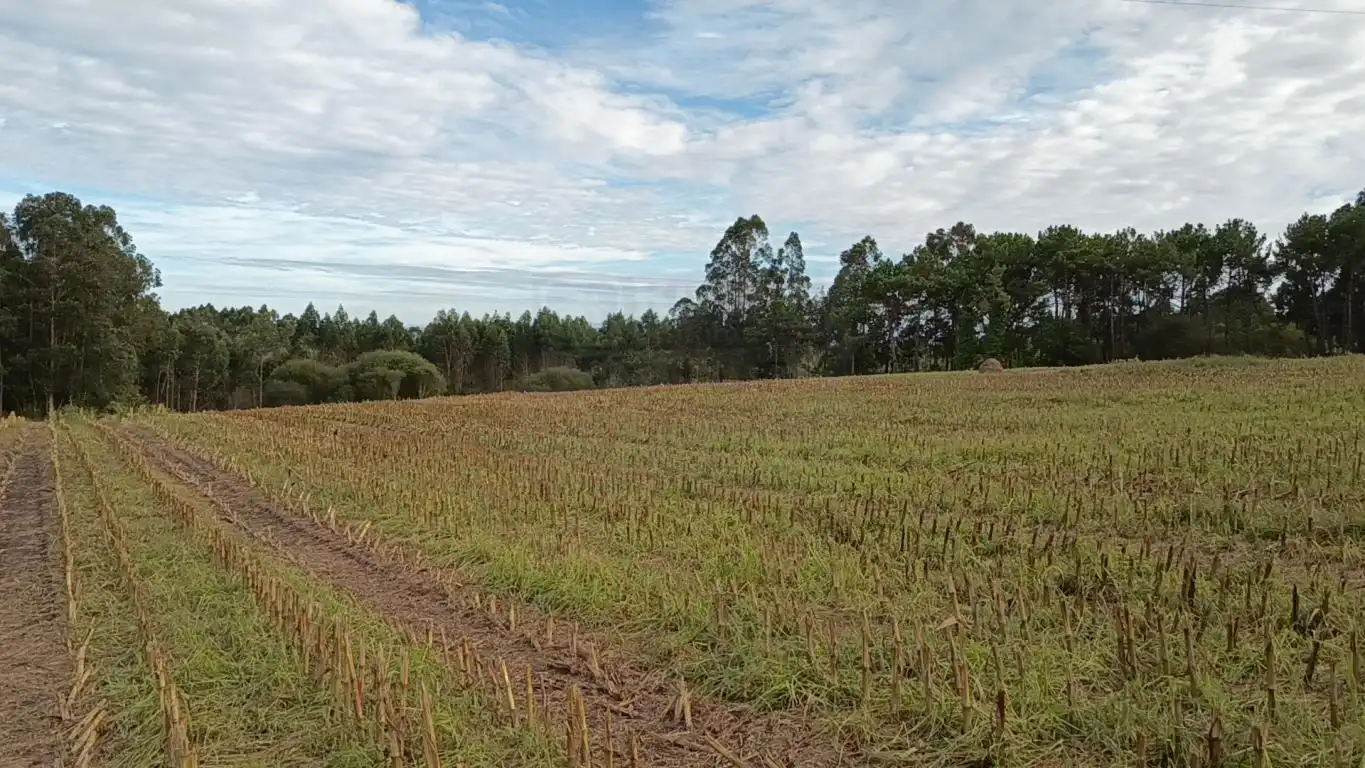 Terreno rústico en venta en Aldea Cabañas, imagen 2