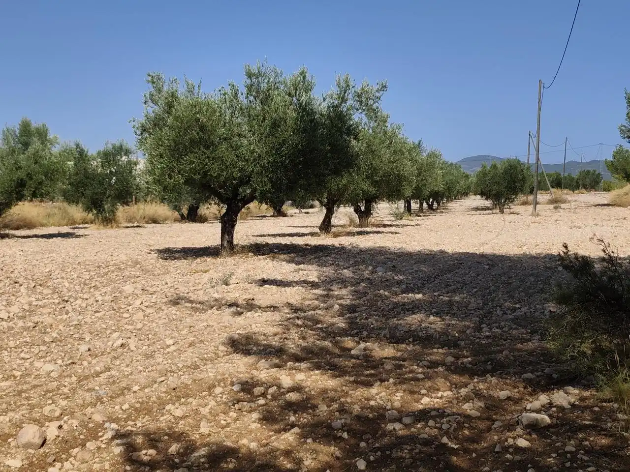 Terreno rustico in vendita a Castalla, imagen 24