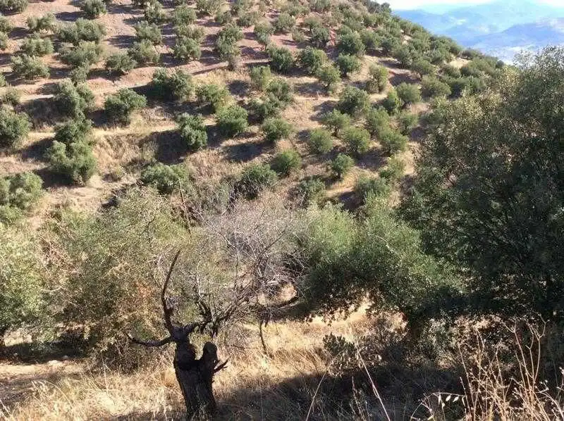 Terreni e lotti in vendita a Castillo de Locubín, imagen 4