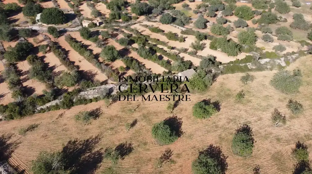 Terreno rustico in vendita a Cervera del Maestre, imagen 4