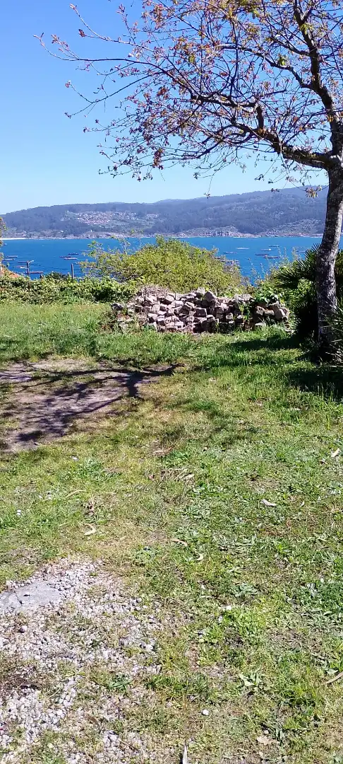 Houses for sale in O Hío