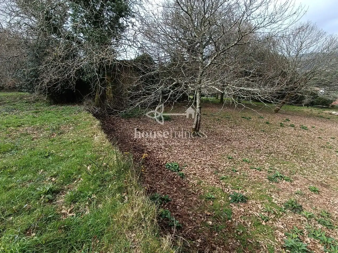 Terreni e lotti in vendita a Parroquias de Santiago, imagen 31