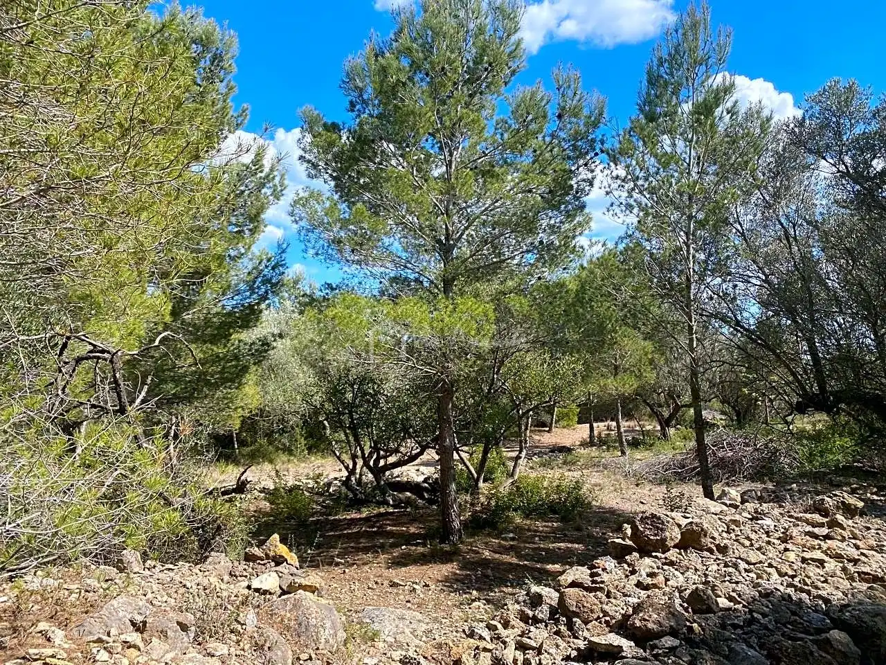 Terreno rustico in vendita a Ligallo de les Bordes, imagen 2