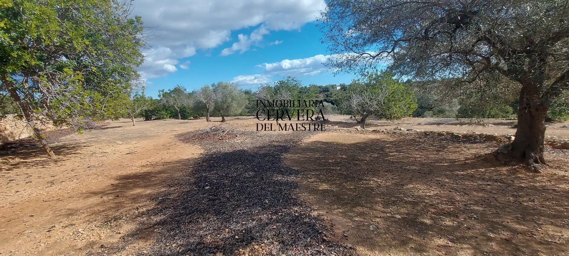 Terreno rustico in vendita a Partidas de interior - Zona Rústica, imagen 7