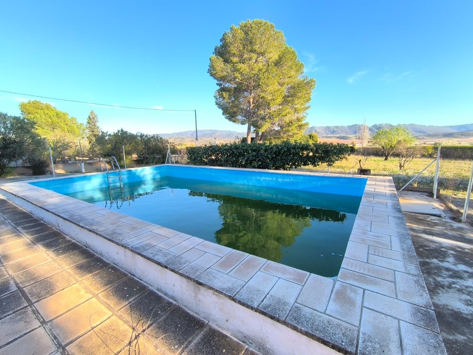 Swimming pool of Country house for sale in Yecla  with Terrace, Furnished and Oven