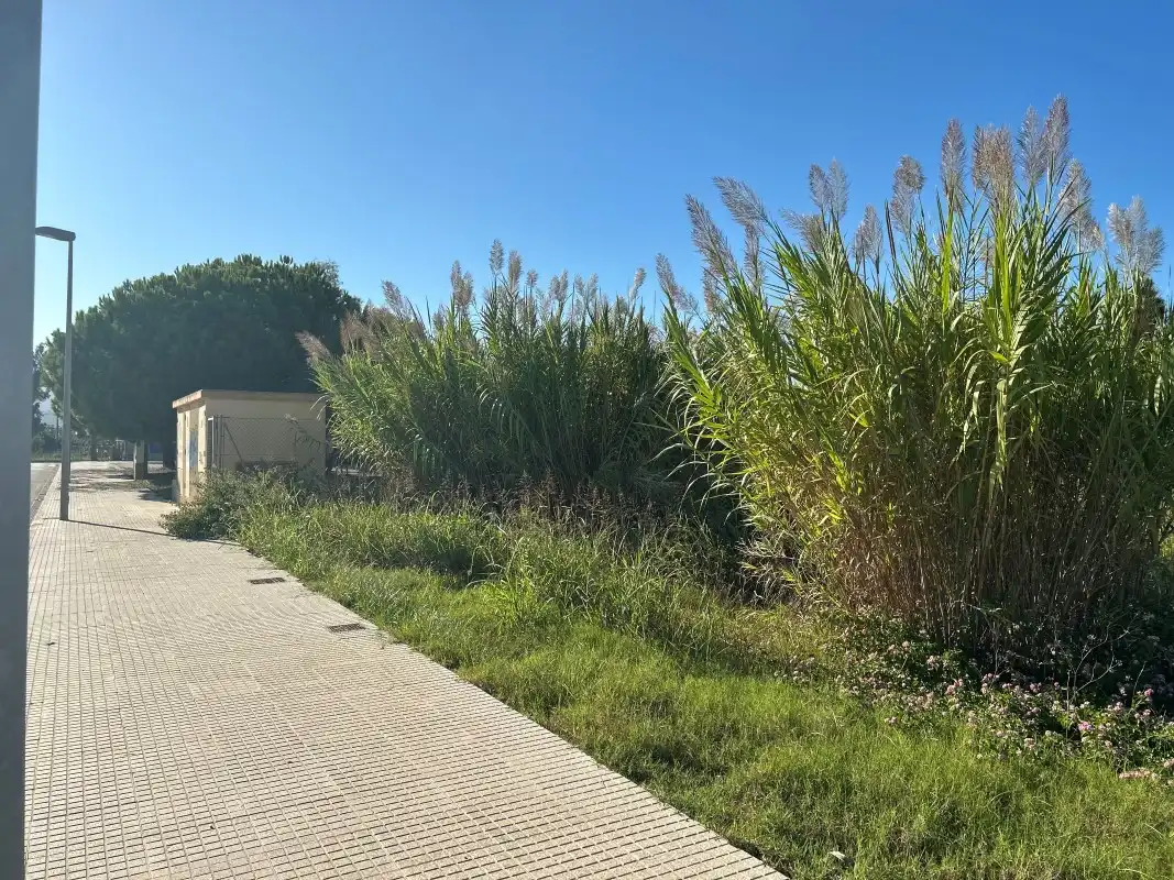 Residential for sale in Tavernes de la Valldigna