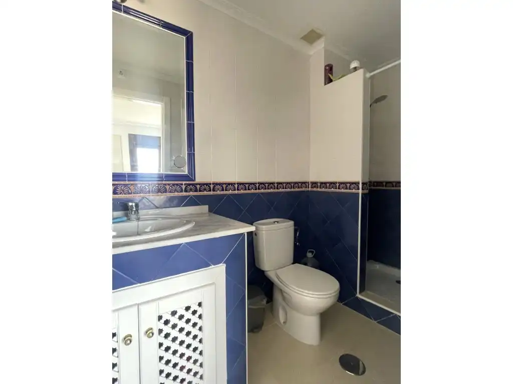 Apartament amb piscina en venda a Avenida Aloe Vera, imagen 12