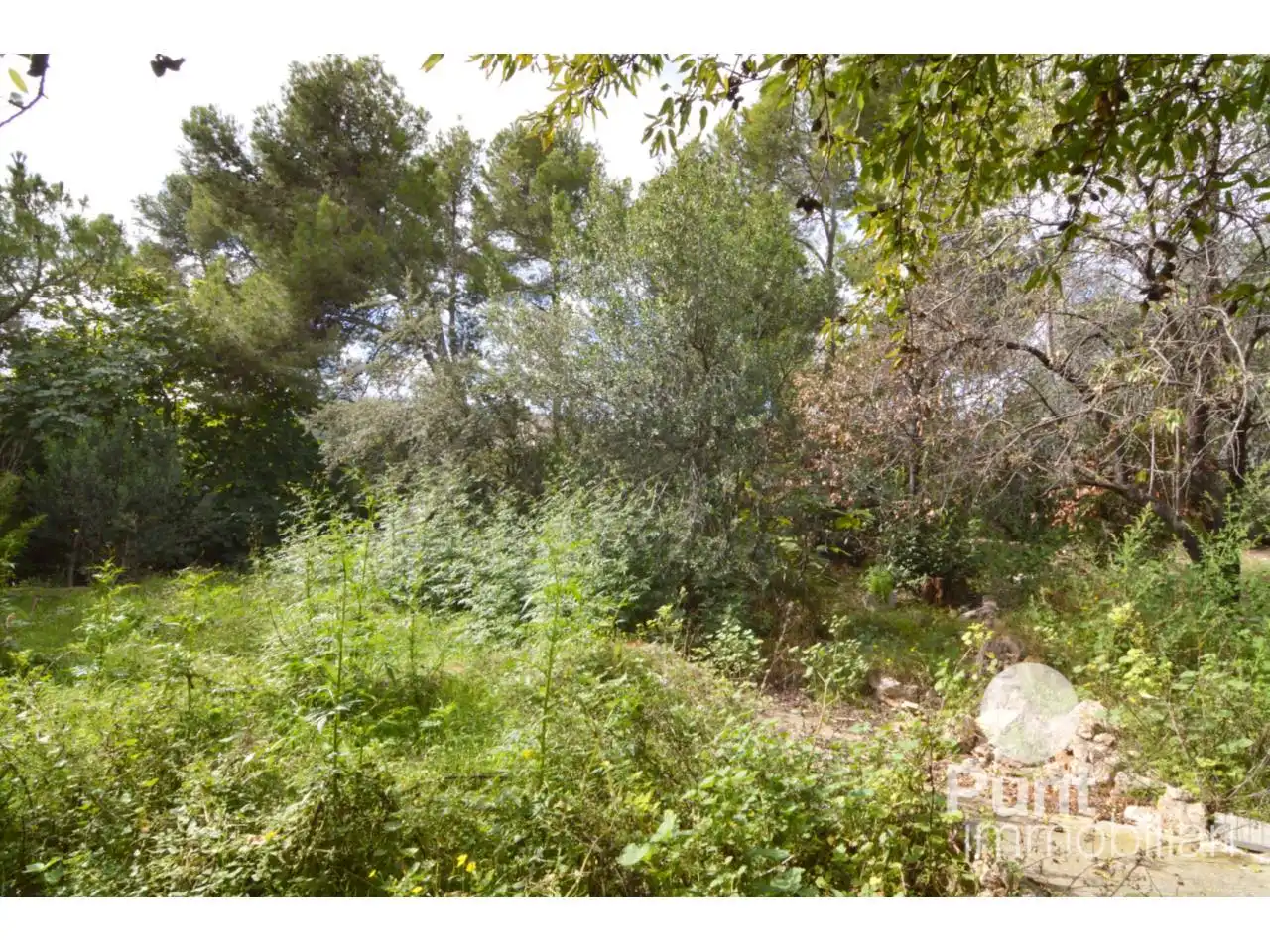 Rural land for sale in Pallejà, imagen 2