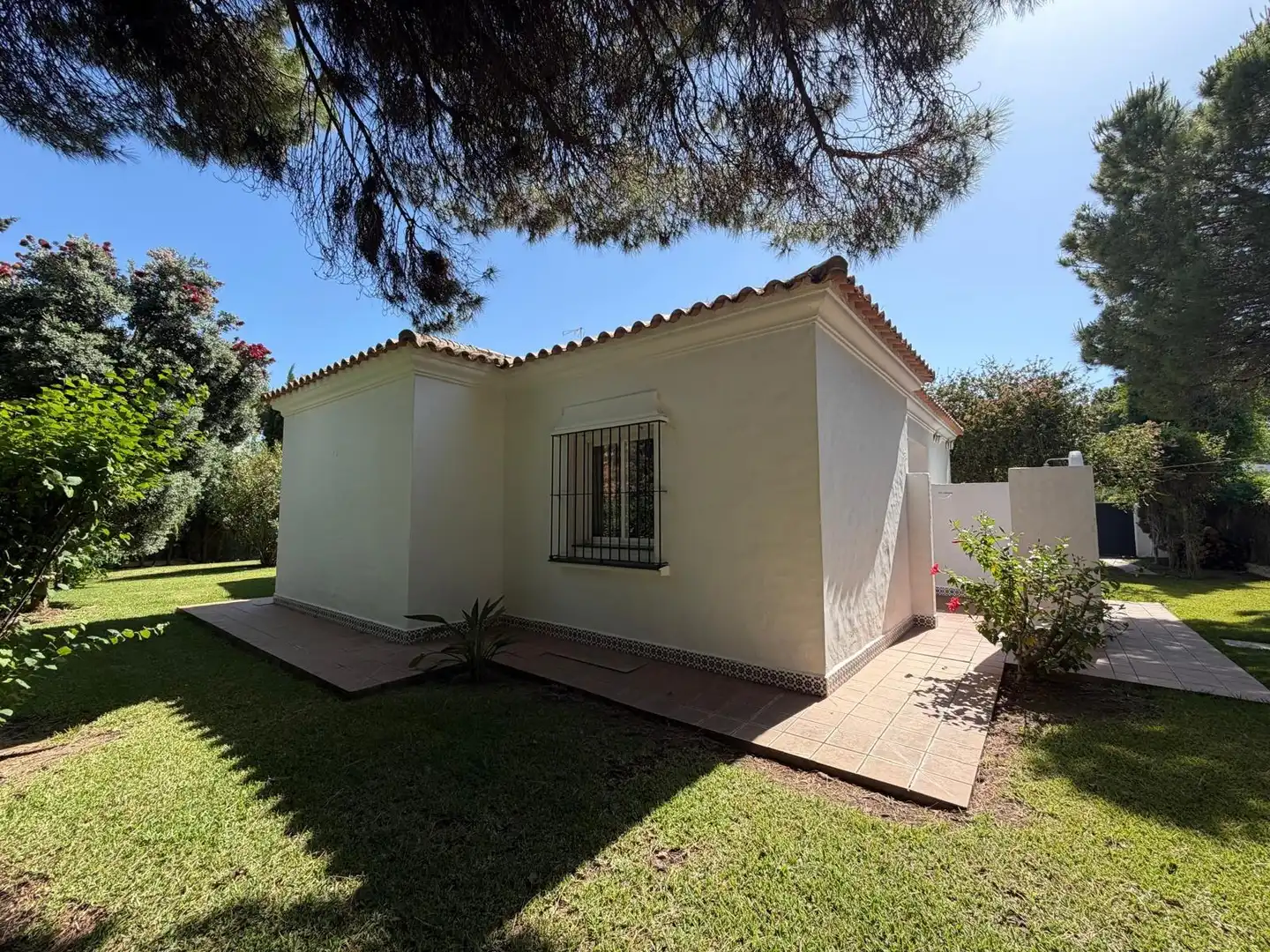 Exterior view of Houses for rent in Conil de la Frontera