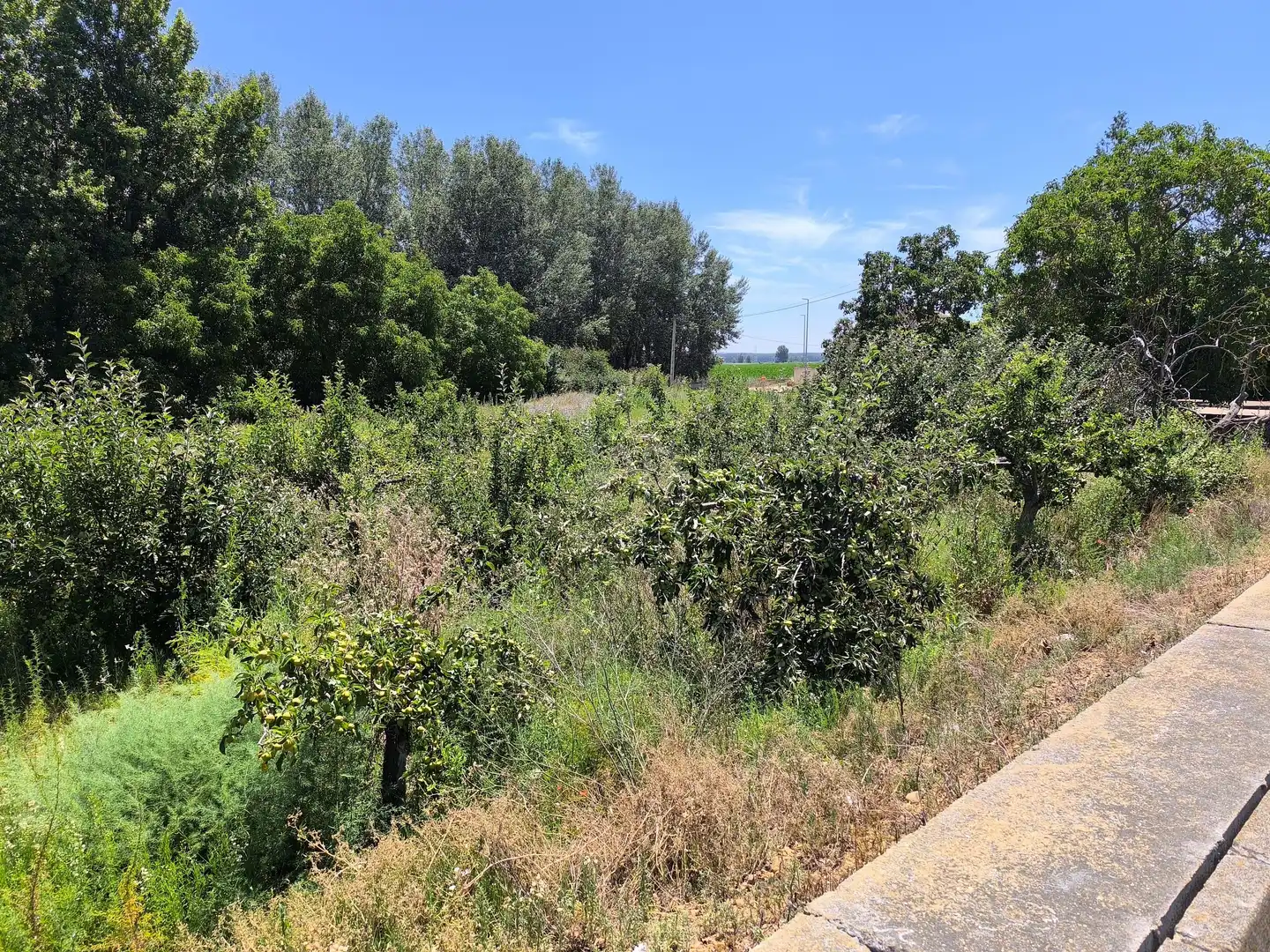 Residencial en venta en San Millán de los Caballeros