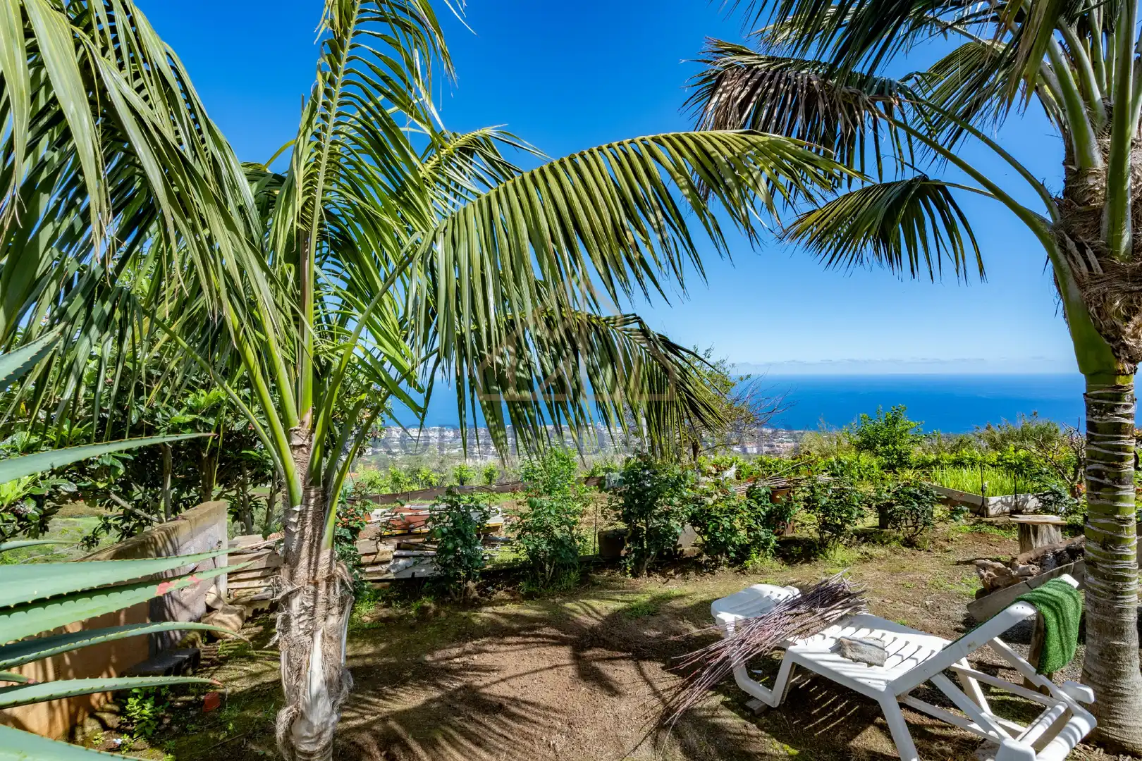 Casa rústica con jardín en venta en La Perdoma - San Antonio - Benijos, imagen 11