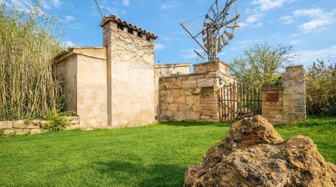 Foto 4 de Finca rústica en venda a Sa Pobla, Illes Balears